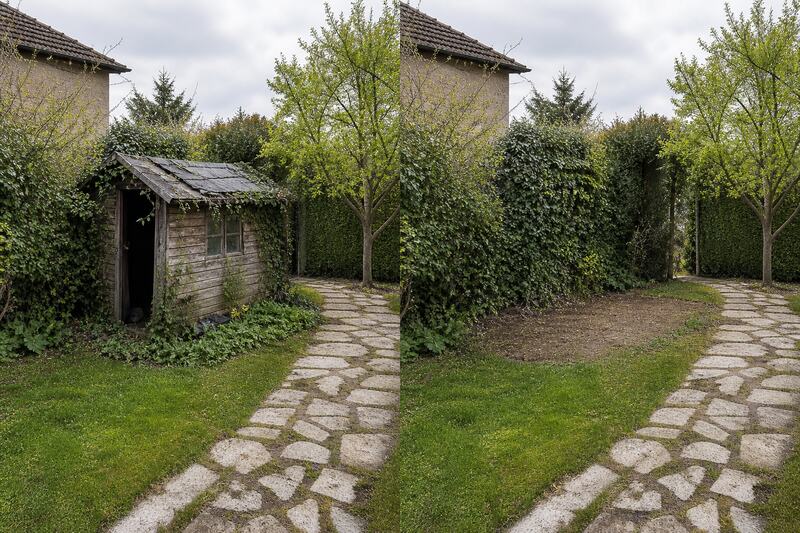 Avant après débarras d'un cabanon envahi par le lierre