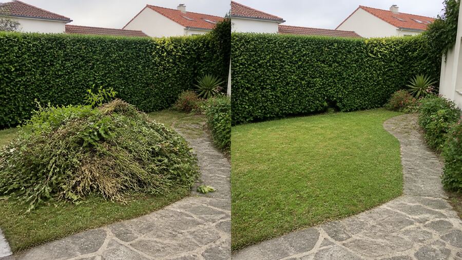 Avant après débroussaillage de jardin
